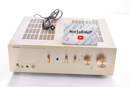 Amplificatore integrato suono